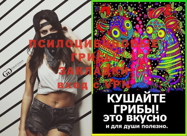 спиды Елабуга
