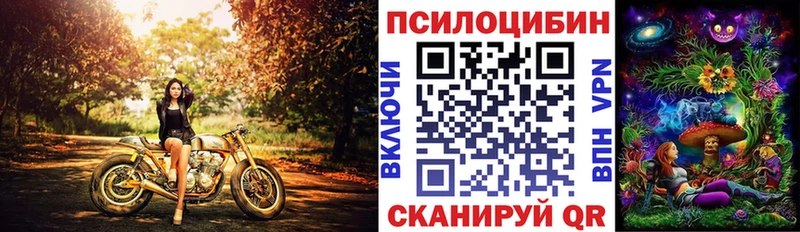 omg как зайти  Нальчик  Галлюциногенные грибы MAGIC MUSHROOMS 