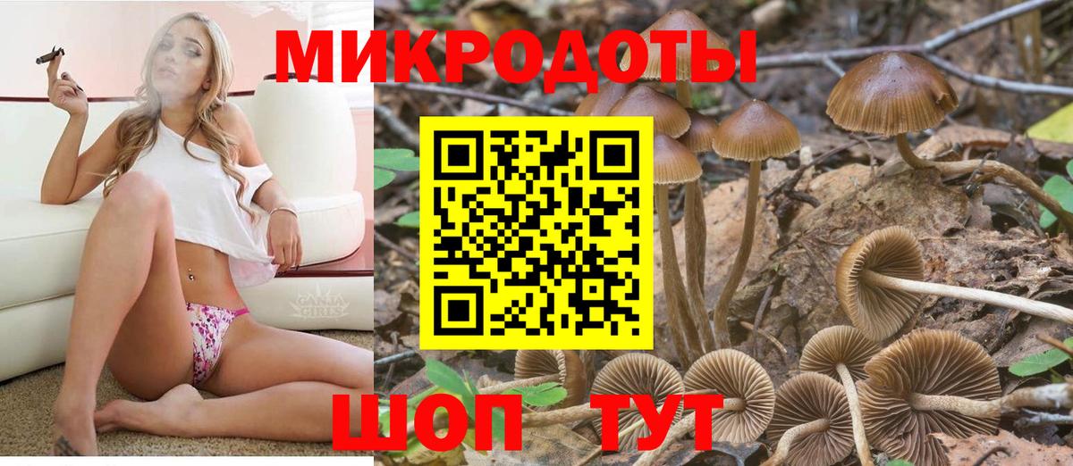 Псилоцибиновые грибы Cubensis  Вход с VPN  Нальчик 